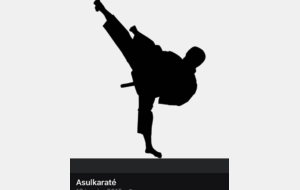 REPRISE DES COURS SEPTEMBRE 2025