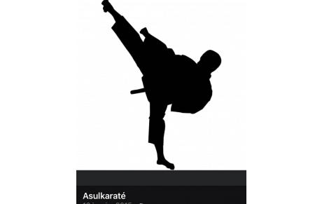 REPRISE DES COURS SEPTEMBRE 2025